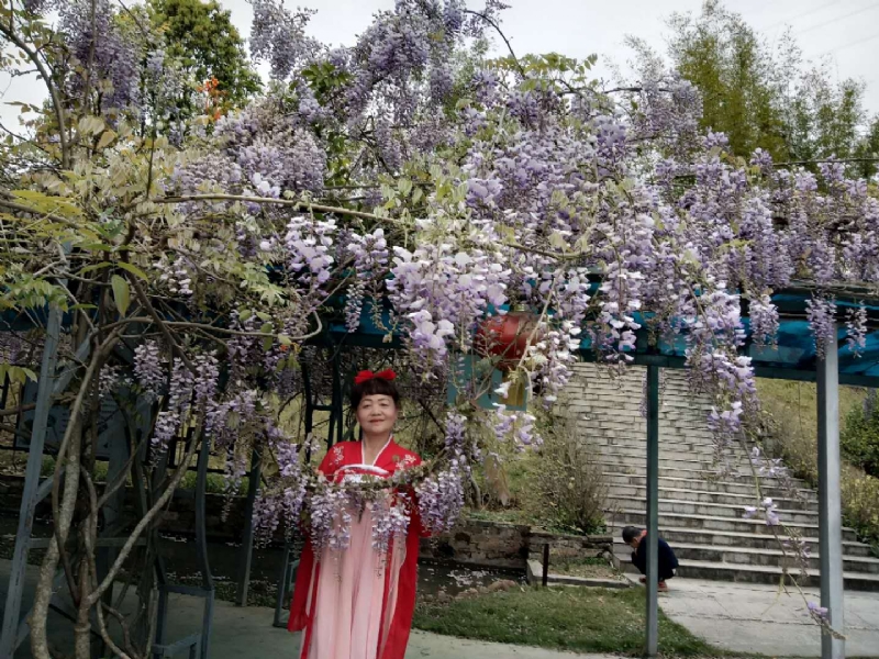 莉莉的第一张照片--云霄征婚网