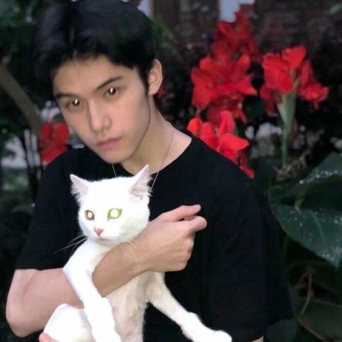 爷的魅力你不懂的第一张照片--云霄征婚网