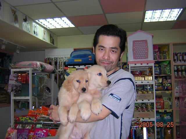 陈道明的第六张照片--云霄征婚网