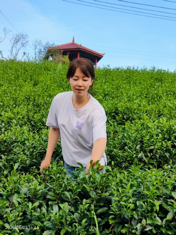 Q绮芳的第一张照片--云霄征婚网